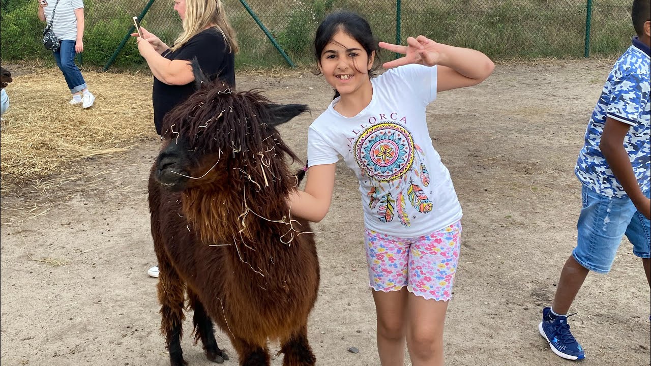 رحله الى أكبر وأغرب سفاري بارك 🏕🐪في المانيا Part(1)  Biggest and weirdest safari park gone 🇩🇪