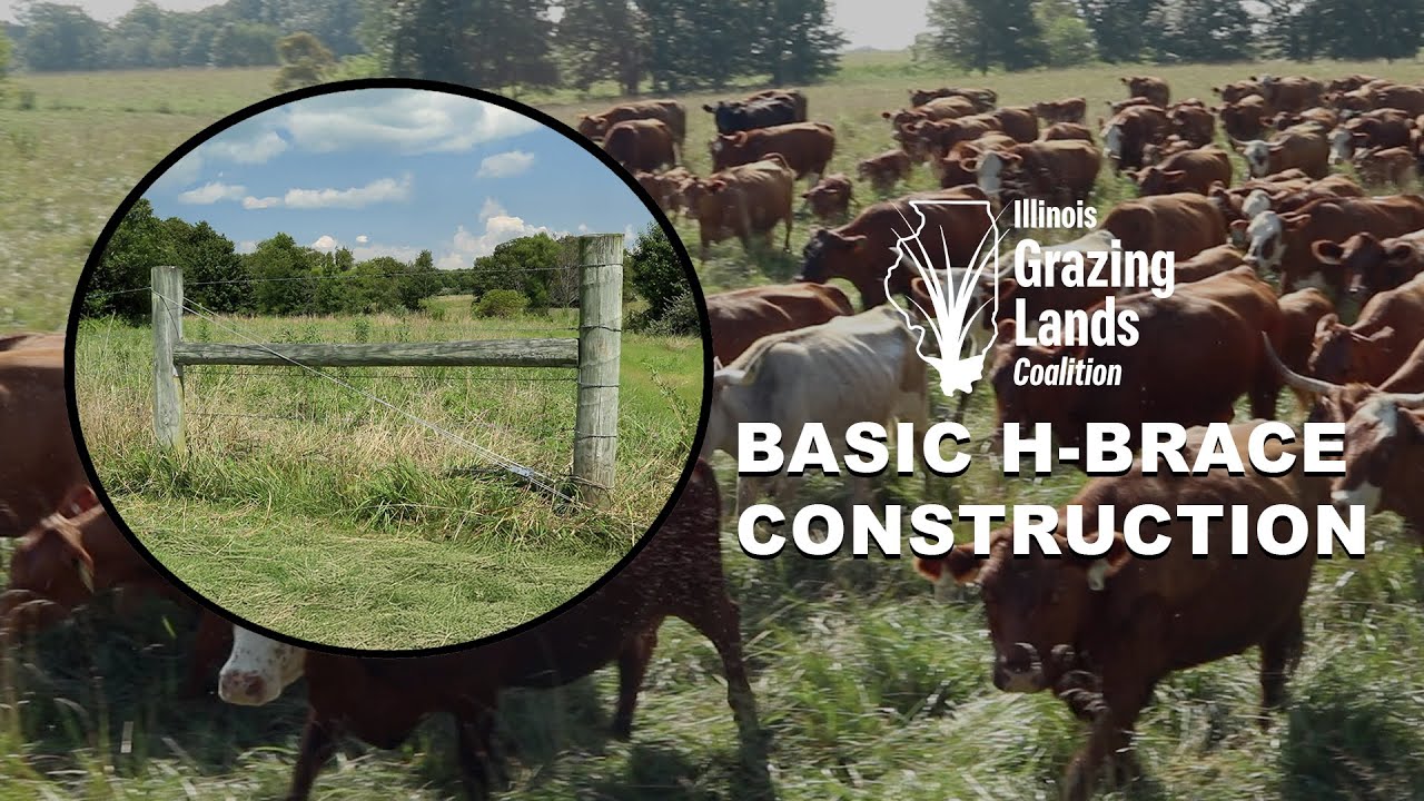 How To Build An H-Brace For Pasture Fences 🔨