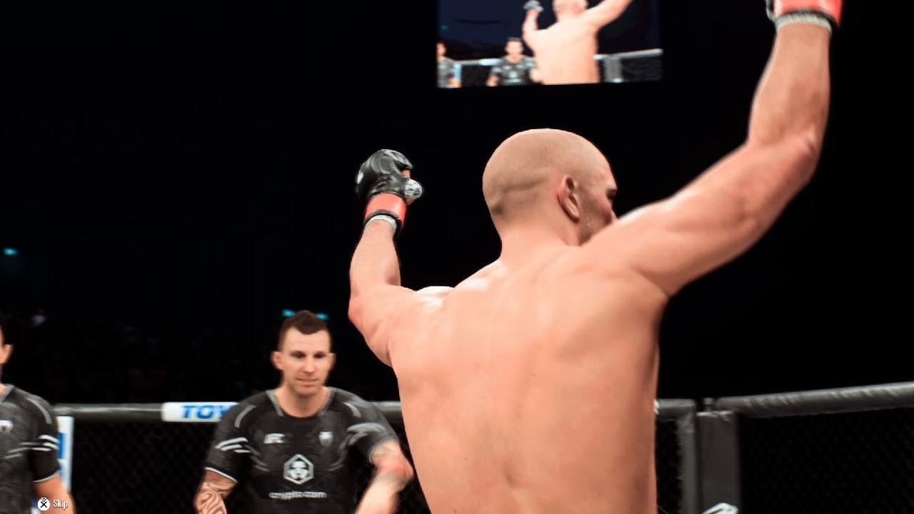 UFC the best fight 
