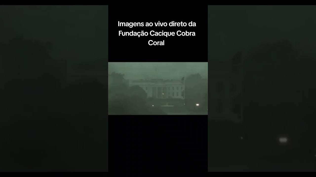 Aten&ccedil;&atilde;o!!! 🚨 Imagens ao vivo da Funda&ccedil;&atilde;o Cacique Cobra