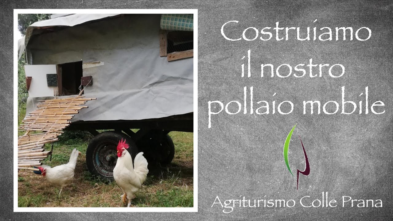 Abbiamo creato un POLLAIO MOBILE - Agriturismo Colle Prana