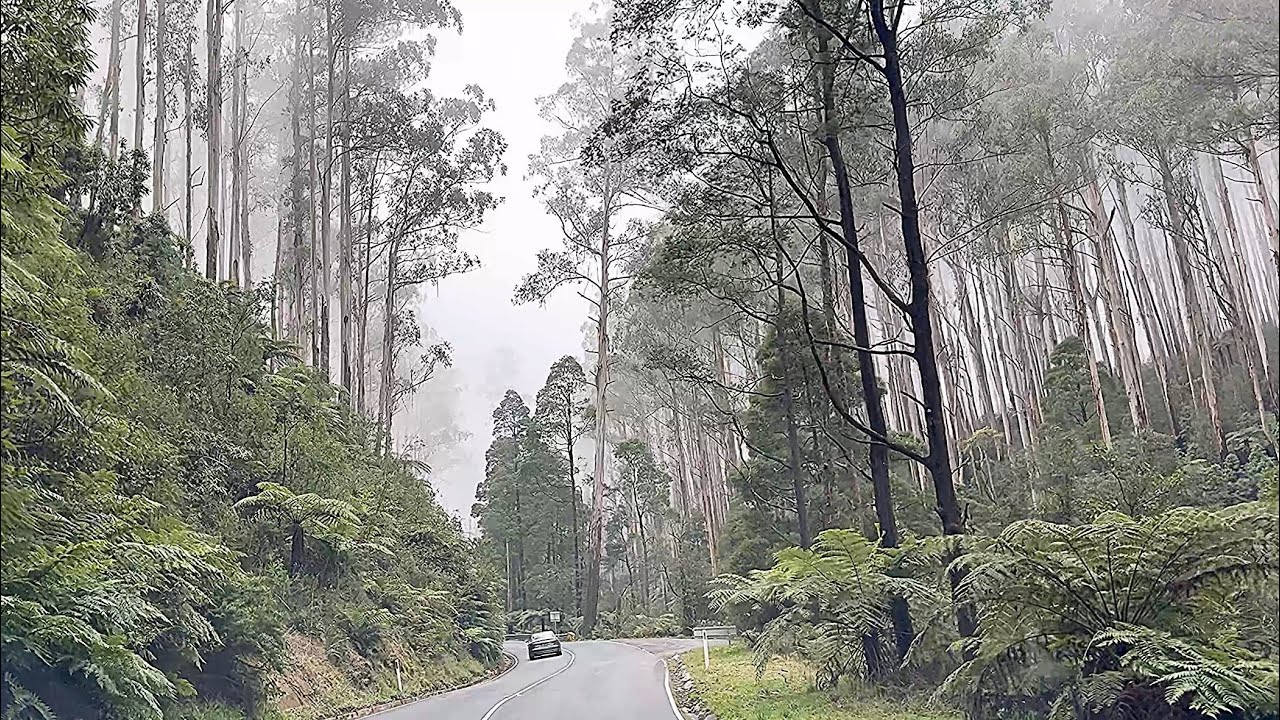 VICTORIA MELBOURNE YARRA VALLEY MARYSVILLE M PENINSULA DRIVE AROUND WINTER TOUR REVIEW JULY 2024