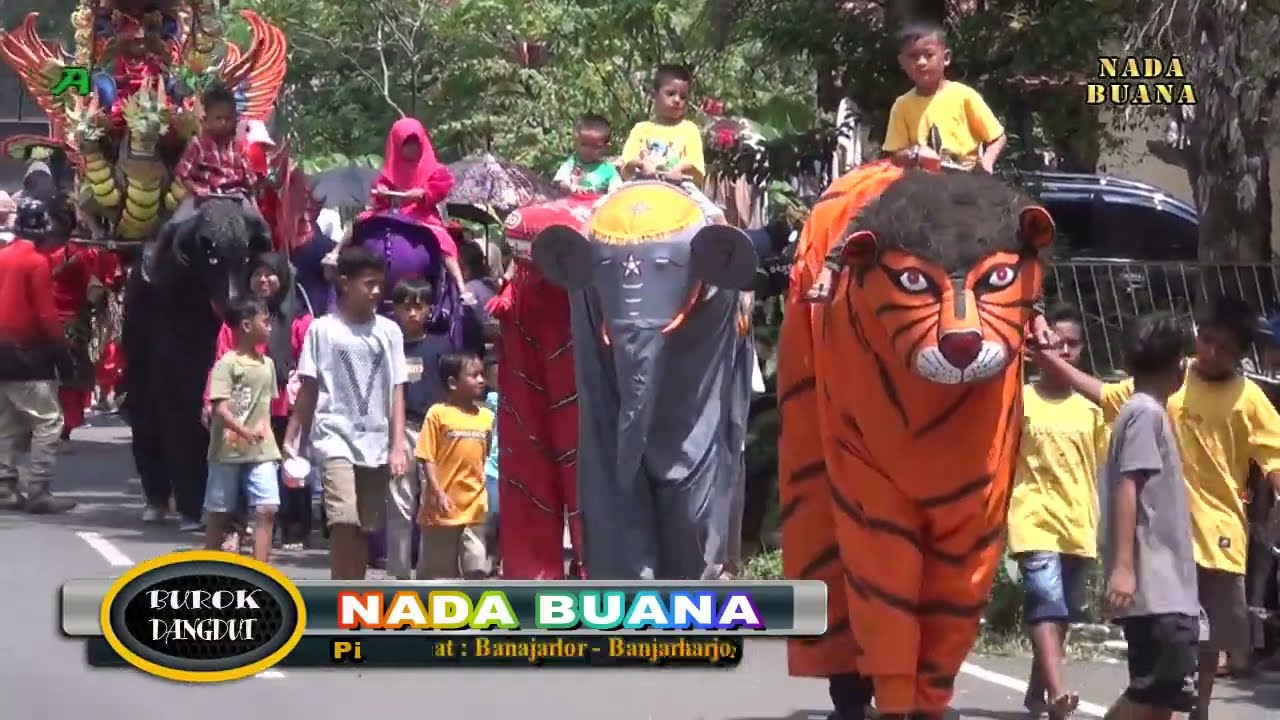 DOMBA KURING BUROK NADA BUANA TERBARU SINDANGHEULA 2023