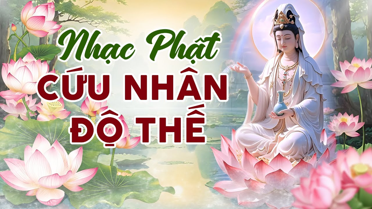 71 Bài Nhạc Phật Hay Nhất, Cứu Nhân Độ Thế - Liên Khúc Nhạc Phật Giáo Mới Nhất 2025