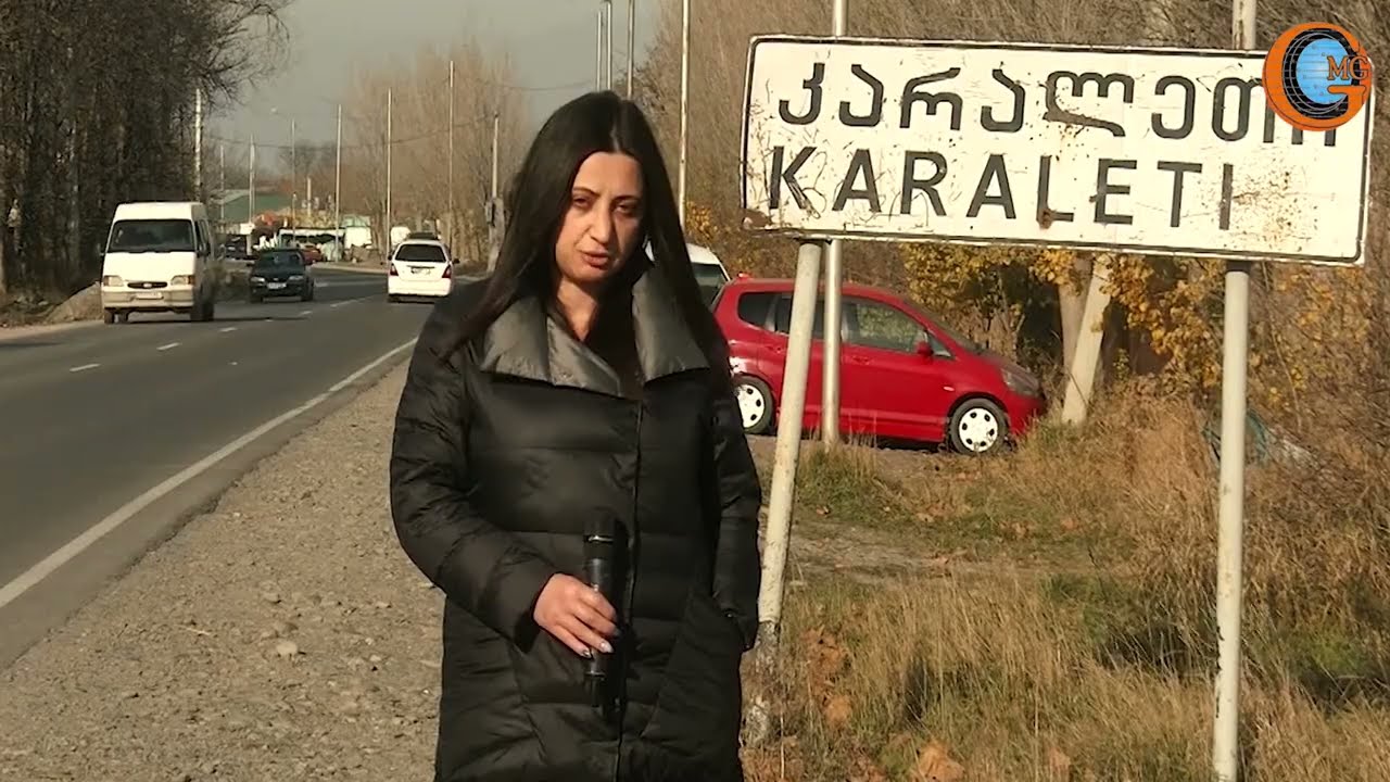 სოფლის პროგრამის პროექტები კარალეთში და კრების მიღმა დარჩენილი დევნილი ქალები