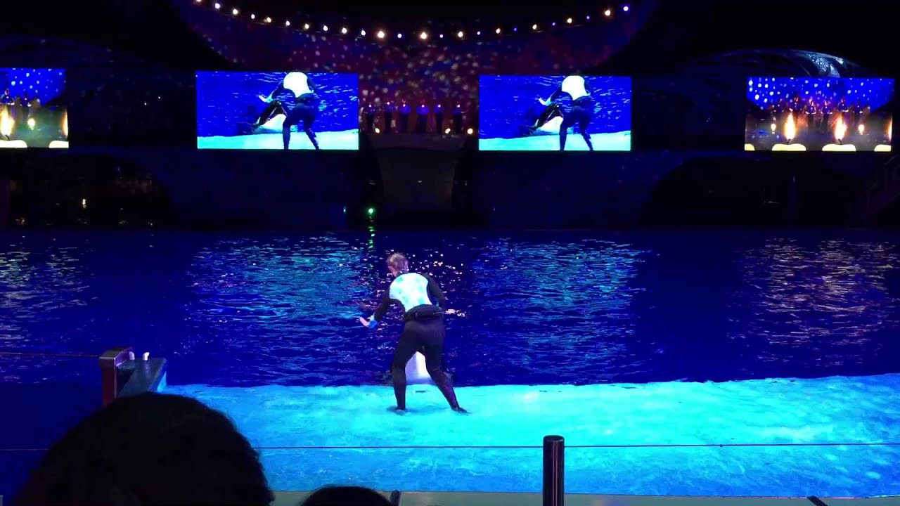 HD FULL SHOW - SeaWorld Shamu Christmas Miracles Show
