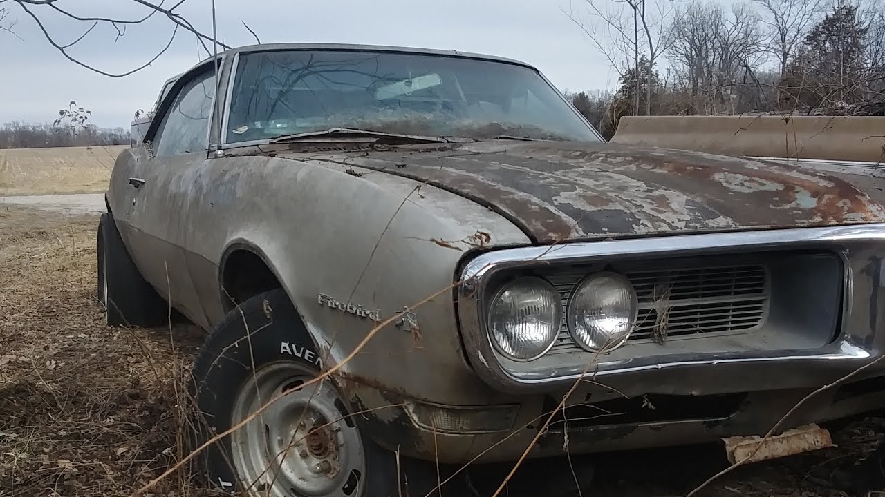 Don's lost 68 Firebird... 🦅⚡🦁