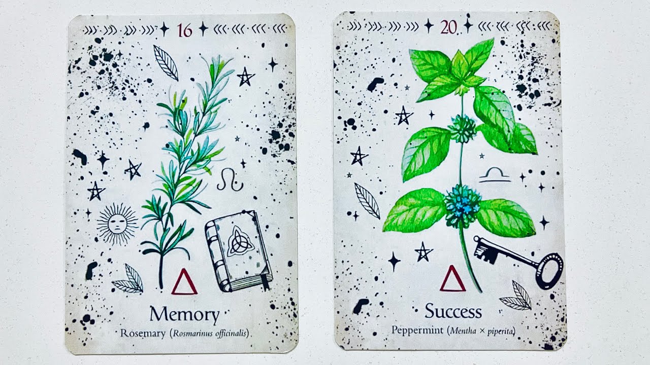 Yakın gelecek tarot yorumu 🌼 desteni seç 😎