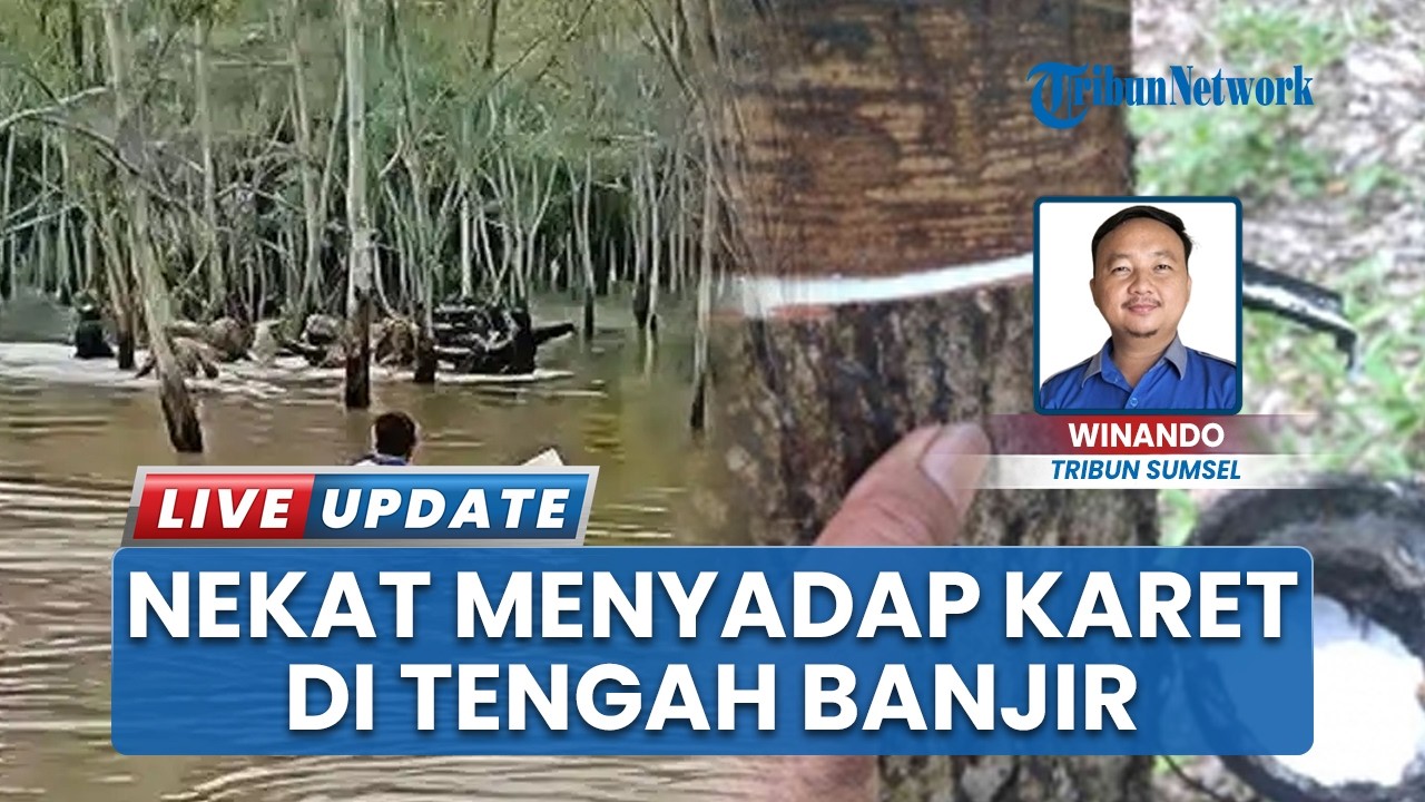 Nekat Cari Nafkah di Kebun Karet Terendam Banjir, Petani OKI Ditemukan Tak Bernyawa Tewas Tenggelam