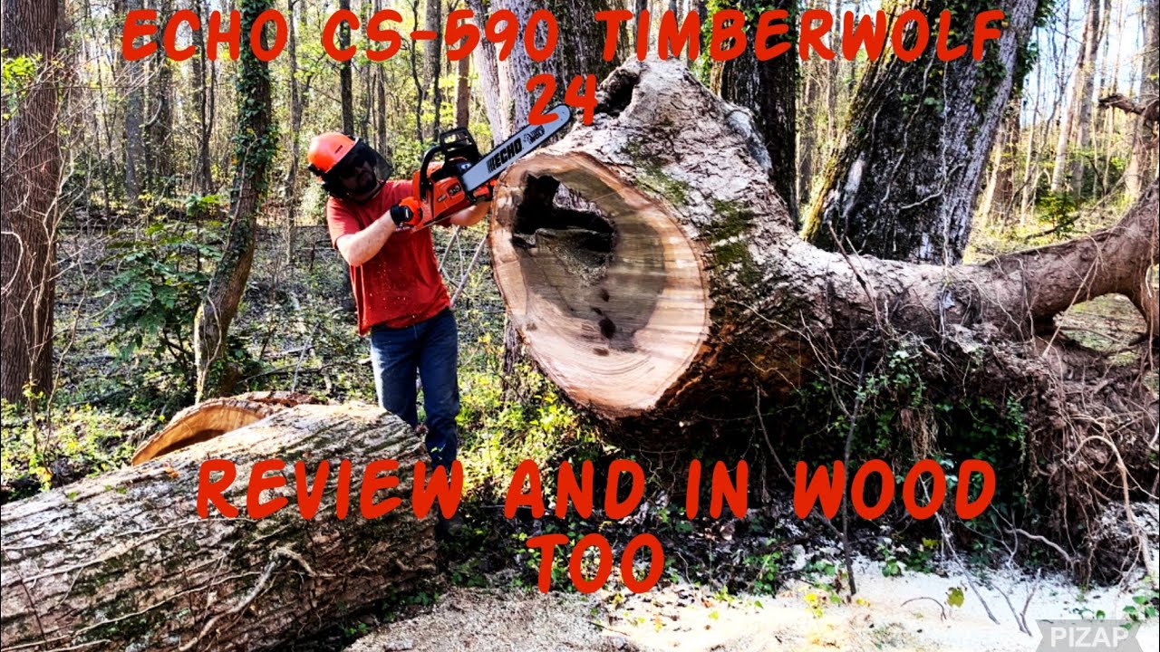 Echo CS-590 TimberWolf 24 inch bar review and test cut