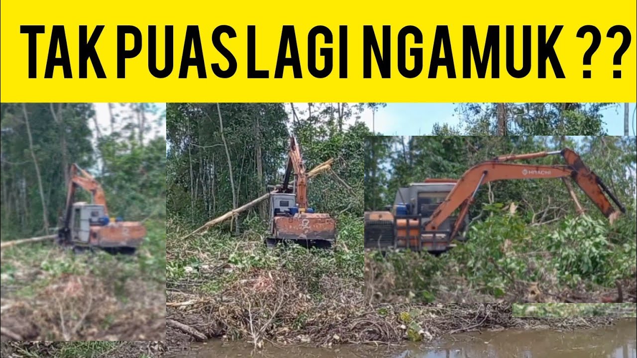 Tak puas lagi ngamuk.???cuci hutan ep4. #excavator #alatberat #cara #hitachi