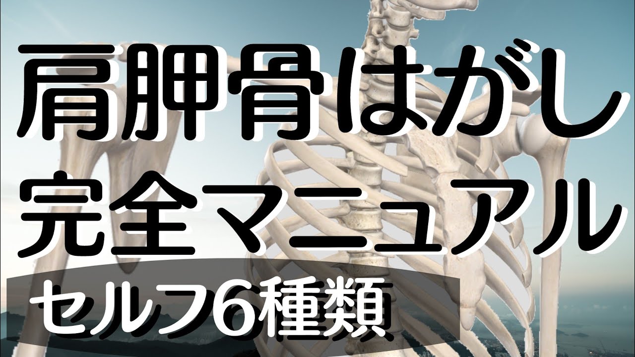 セルフ肩甲骨はがしマニュアル