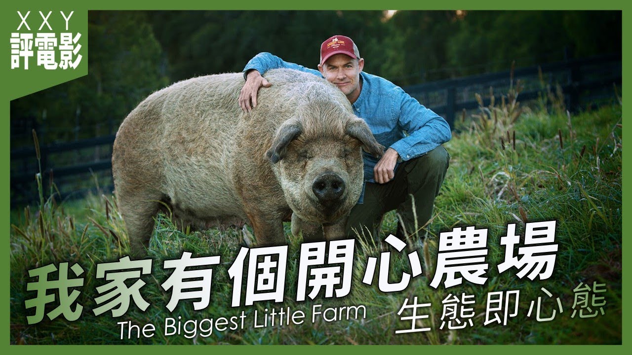 【無雷影評】《我家有個開心農場》The Biggest Little Farm | ★★★★☆ 自然的平衡，就是沒有好與壞 | XXY評電影