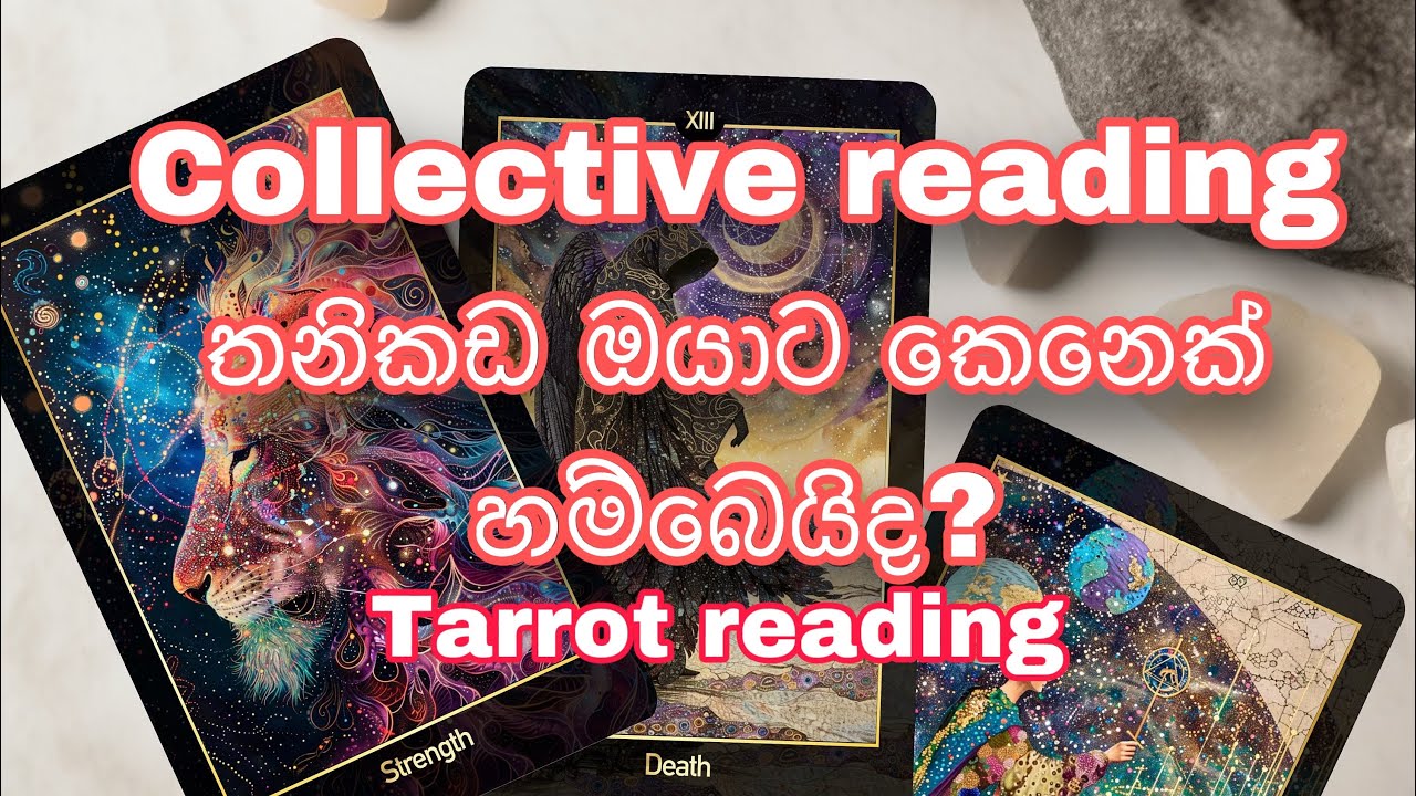 තනිකඩ ඔයාට කෙනෙක් ලැබෙයිද?|Tarrot reading |collective reading