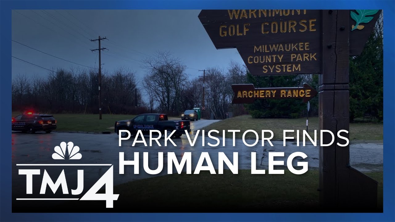 'It's shocking:' Park visitor finds human leg at Warnimont Park