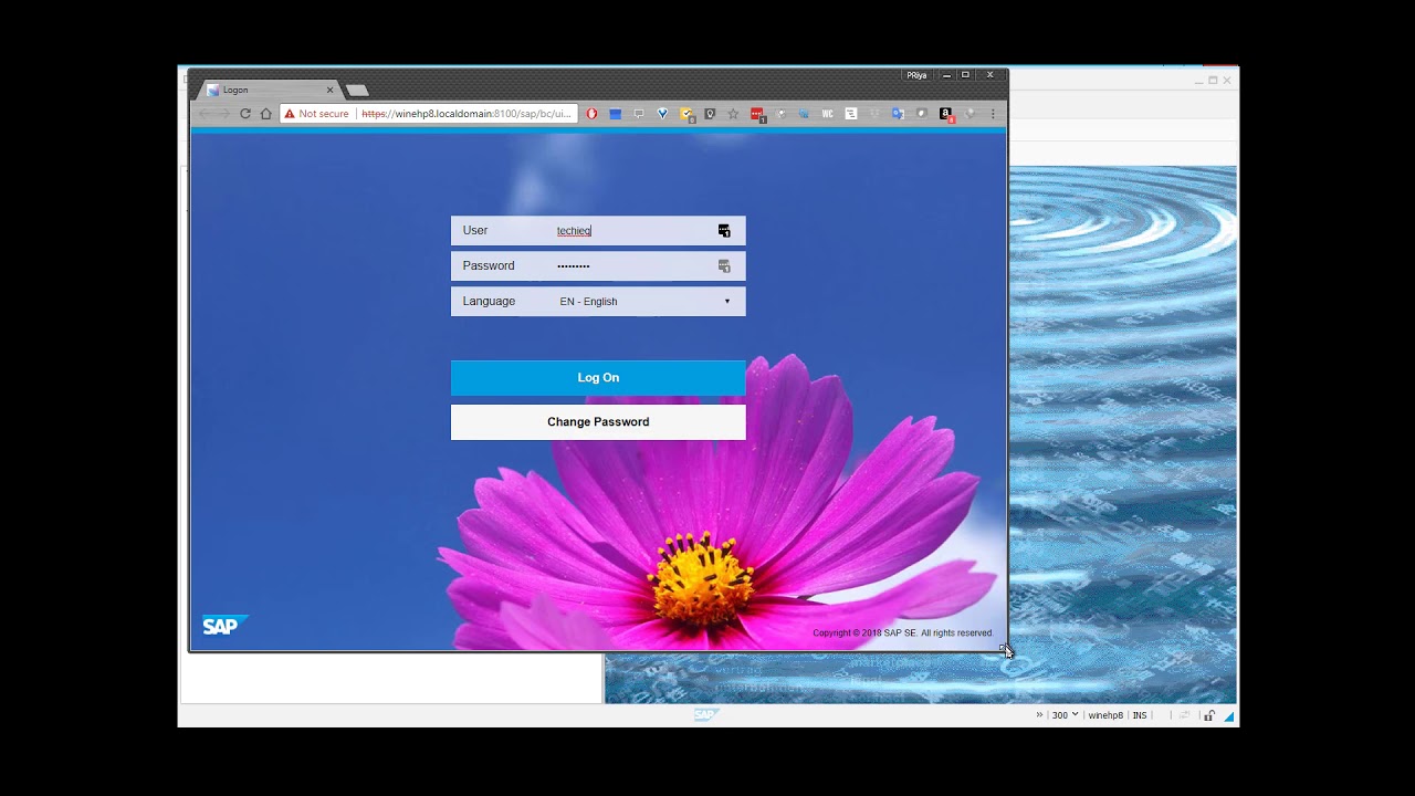 Fiori Configuraiton on ECC 6.0 ehp8