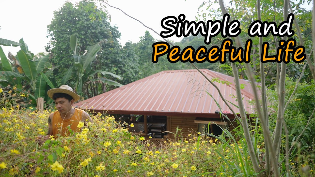 Simple and Peaceful life in the Countryside | Rural life | Making ceiling at home | Province life