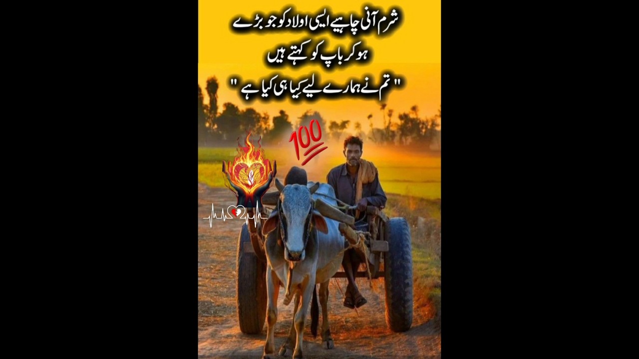 #noshi #poetry #viral