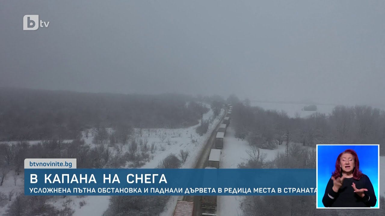 Шофьори в капана на снега и паднали дървета, а във вторник отново леден ден