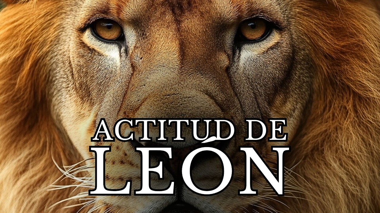 ACTITUD DE LEÓN: Energía y disciplina para triunfar | Discurso motivacional