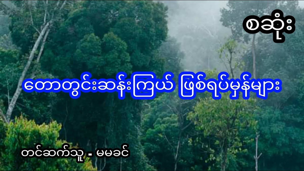 တောတွင်းဆန့်းကြယ် ဖြစ်ရပ်မှန်များ - စဆုံး