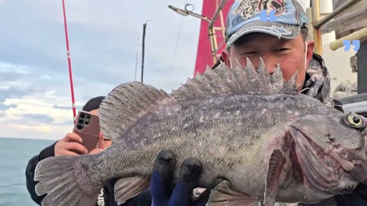 겨울 우럭 중내만권 여밭에서 54 대물 개우럭 GET!#우럭낚시 #선상낚시 #침선우럭낚시 #야간낚시