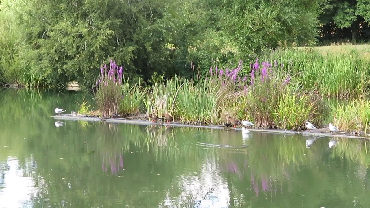 Cirencester Cotswolds  England 2018