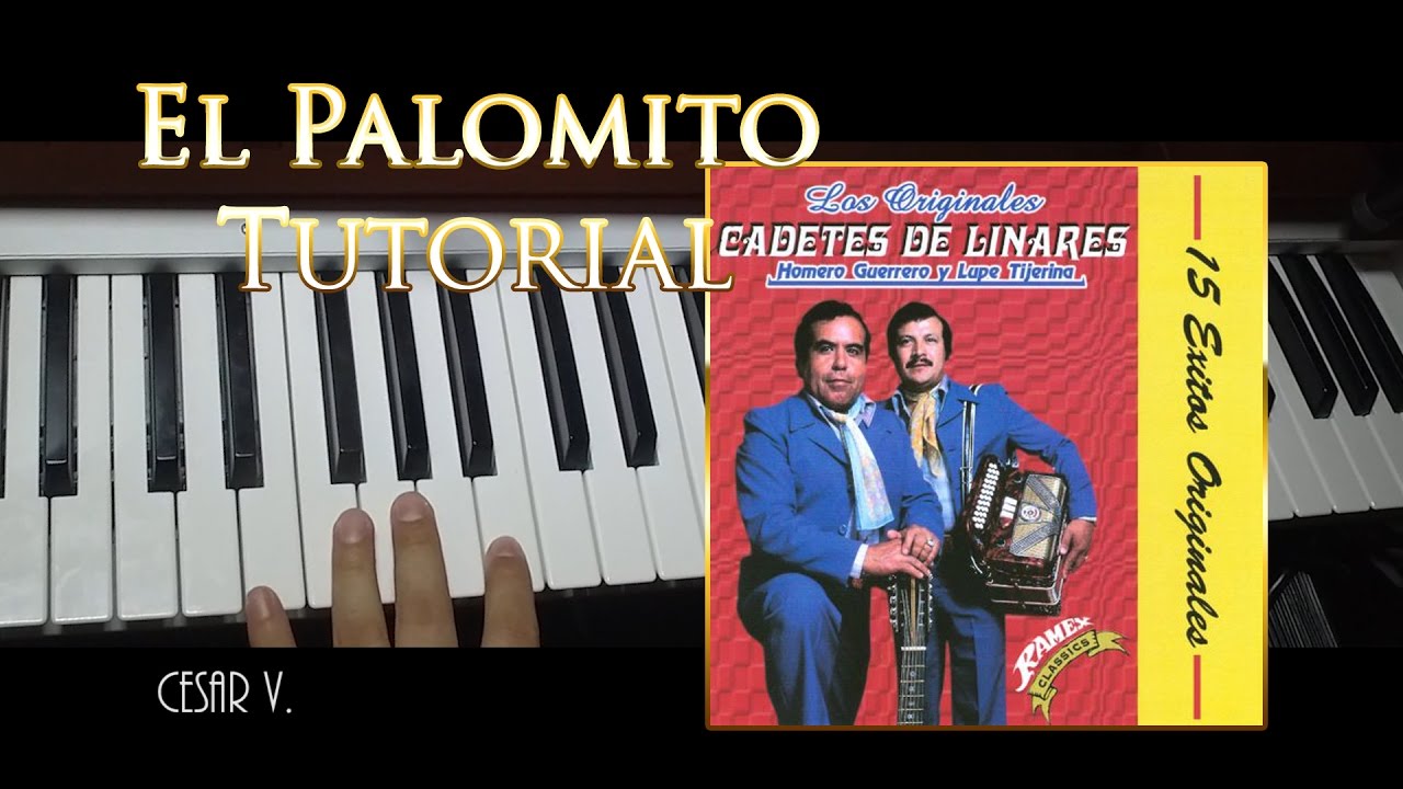 COMO TOCAR LA CANCION DEL PALOMITO - LOS CADETES DE LINARES - CON ADORNOS - TUTORIAL.