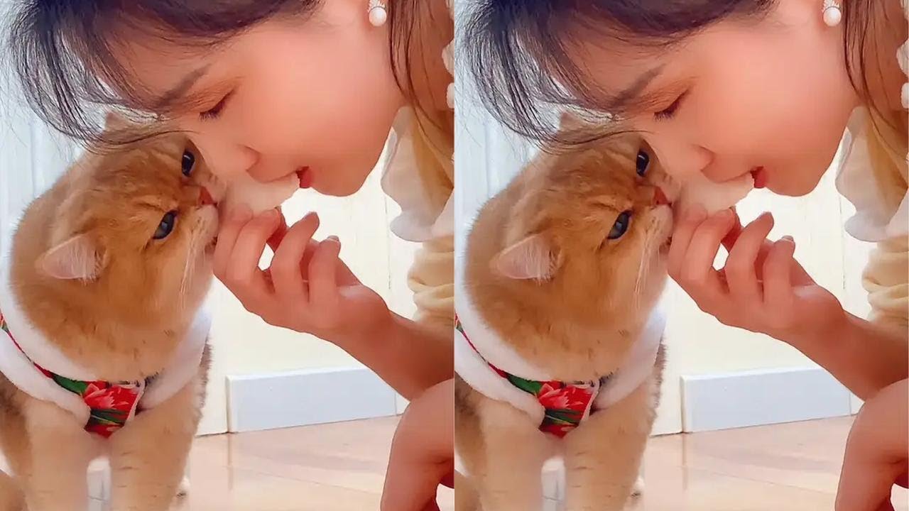 全都是我的！谁抢的快算谁的~【元宝话很多】