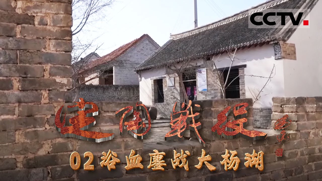 《定陶战役》02 浴血鏖战大杨湖：啃最硬的骨头 刘邓大军血战大杨湖【CCTV纪录】