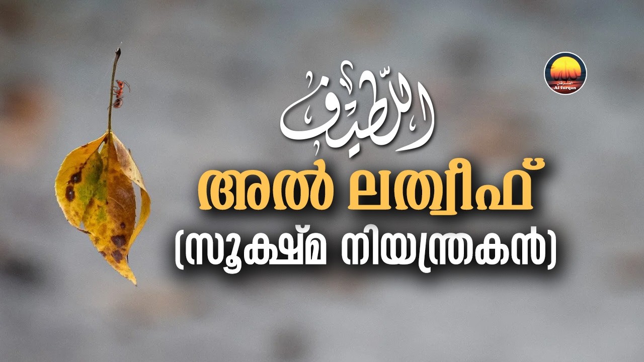 സൂക്ഷ്മ നിയന്ത്രകൻ (അൽ-ലത്വീഫ്) |The Most Subtle (Al-Latīf) | Names of Allahﷻ Series