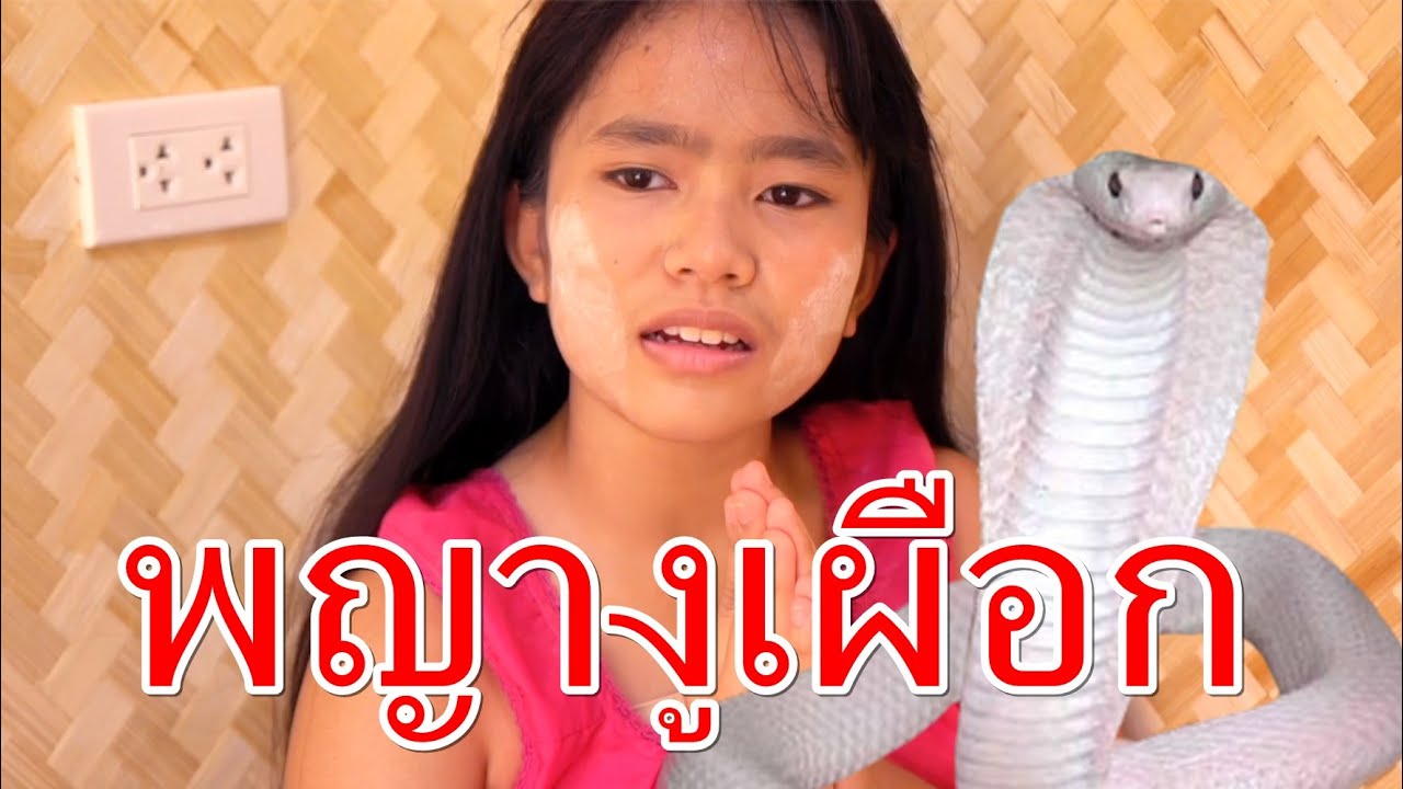 พญางูเผือก I Lovely Family I หนังสั้น