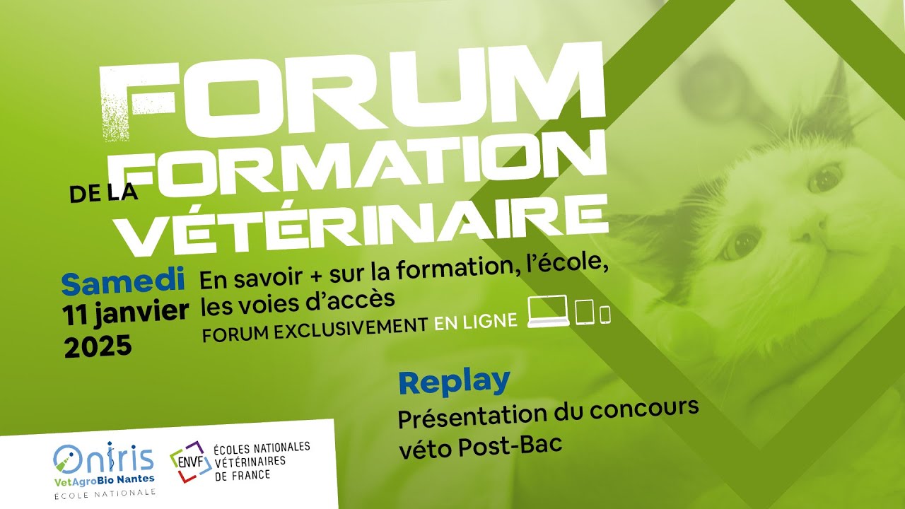 Replay Forum de la Formation Vétérinaire : présentation de la voie Post-Bac