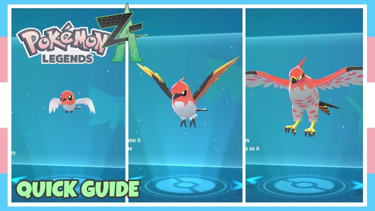 Как эволюционировать Флетчлинга во Флетчиндера и Талонфлейма в Pokemon Legends ZA | Краткое руков...