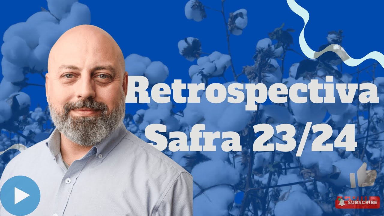 4 fatores que irão guiar os Preços do Algodão aqui e no Mundo até 26