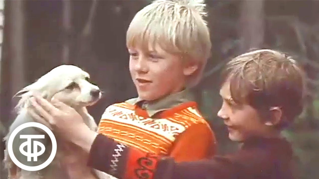 Костомукша - новый город в Карелии. Время. Эфир 26 июня 1979