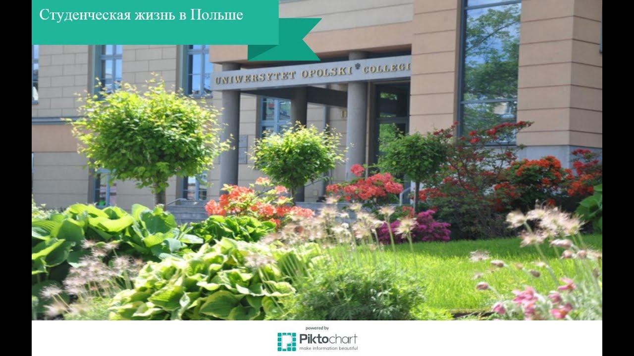 Жизнь в Польше #8 Студенческая жизнь в Польше 
