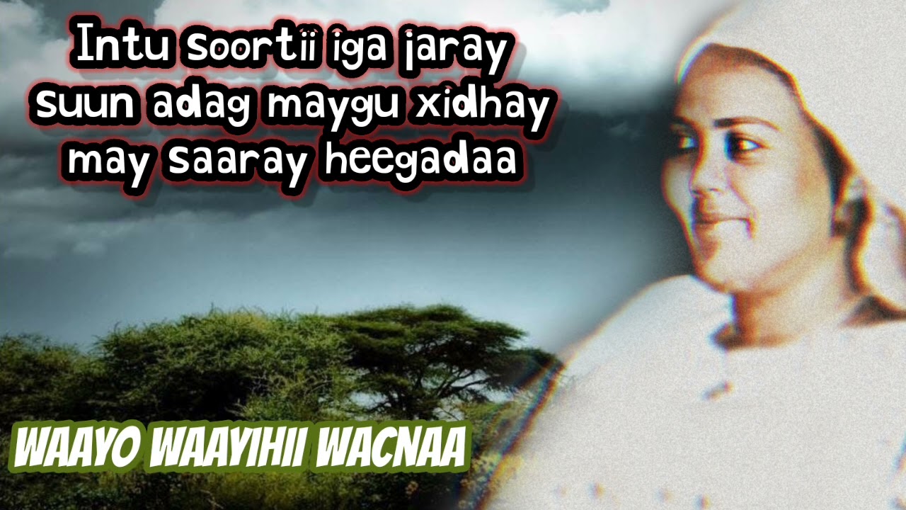 Xaliima Khaliif Magool 🔥 Iyo Heesta "MA SAL GUURO CAASHAQU"