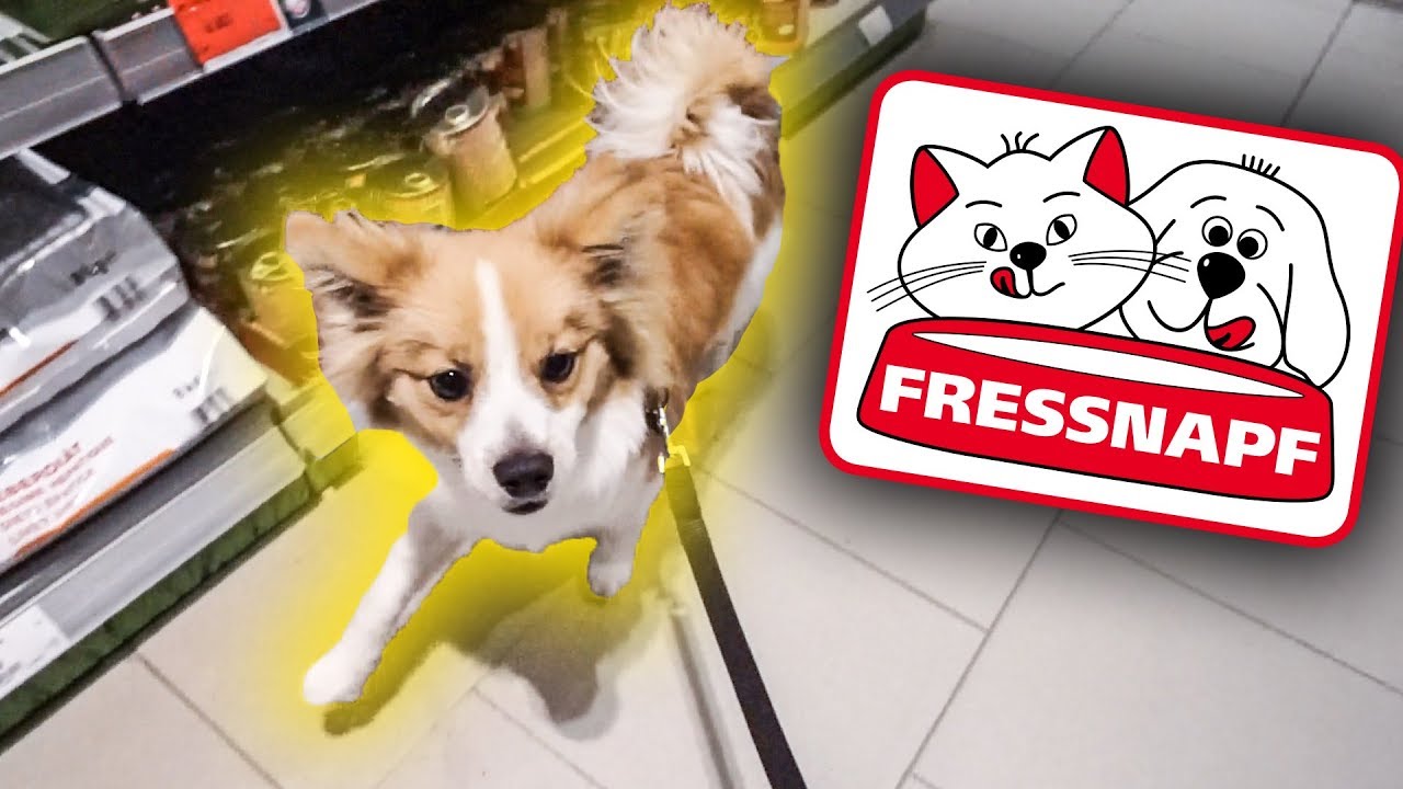 Ich kaufe meinem Hund ALLES was er BERÜHRT!