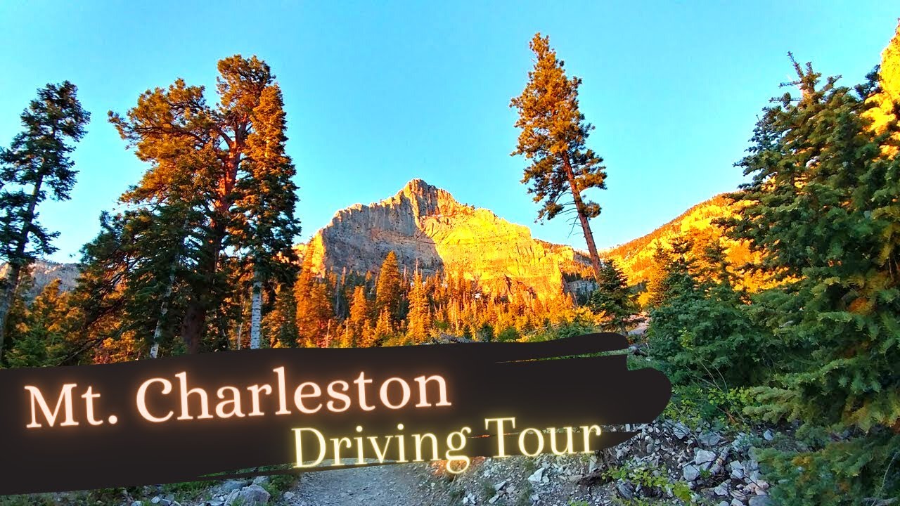 Mt. Charleston Nevada Driving Tour To Lee Canyon - What to do Around Las Vegas