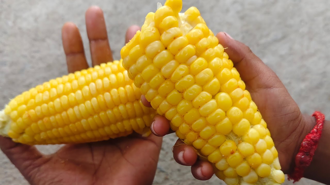 இரவு வணக்கம் மக்களே ஸ்வீட் கான் யார் யாருக்கு பிடிக்கும் வாங்க பேசலாம்