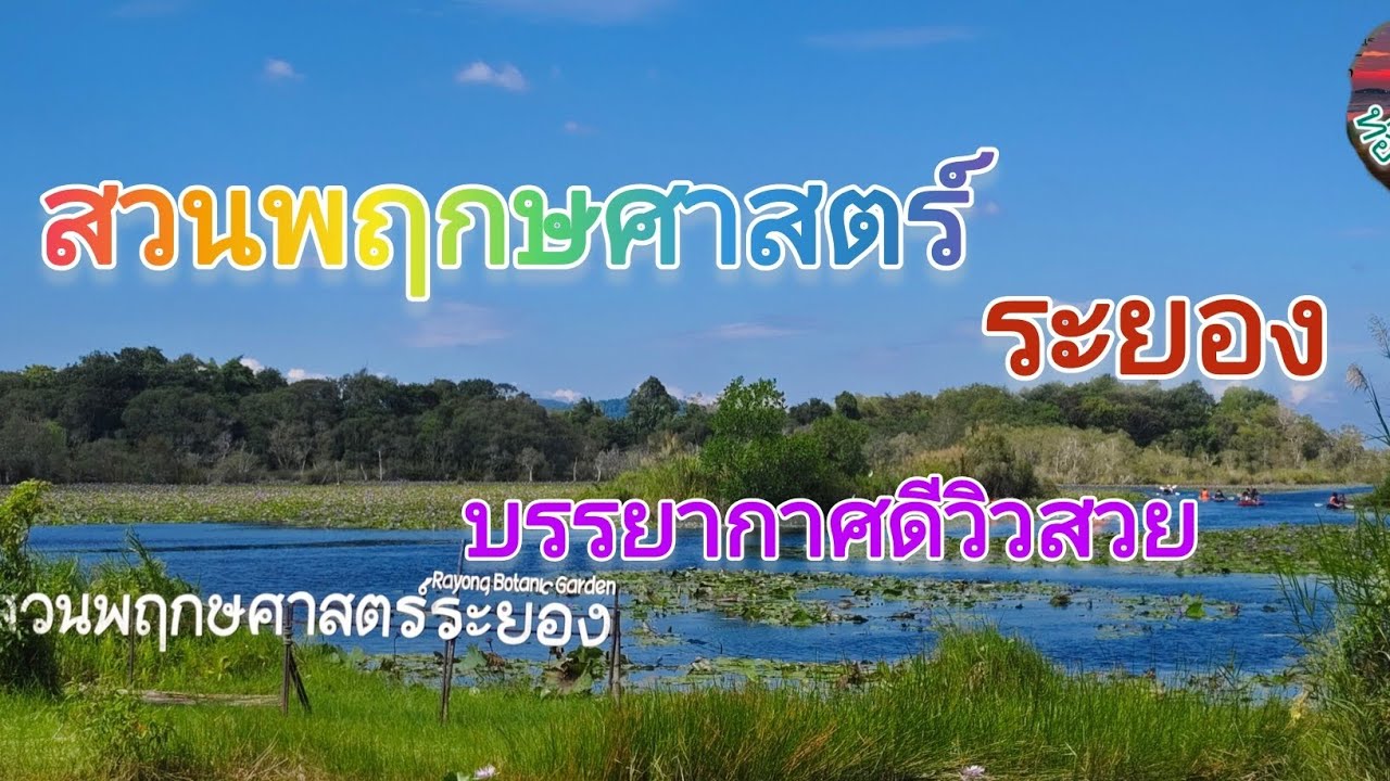 สวนพฤกษศาสตร์ ระยอง#ท่องเที่ยว #ท่องเที่ยวไป 