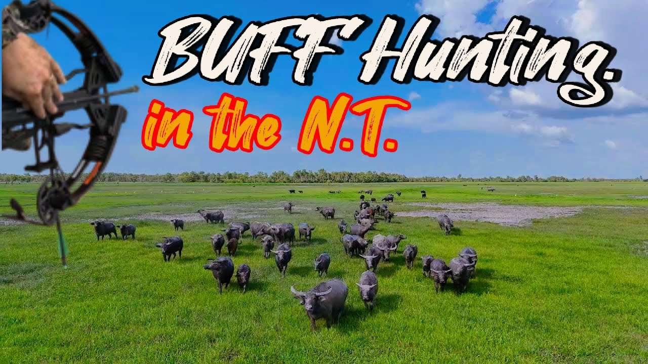 ОХОТА в Северной Зеландии