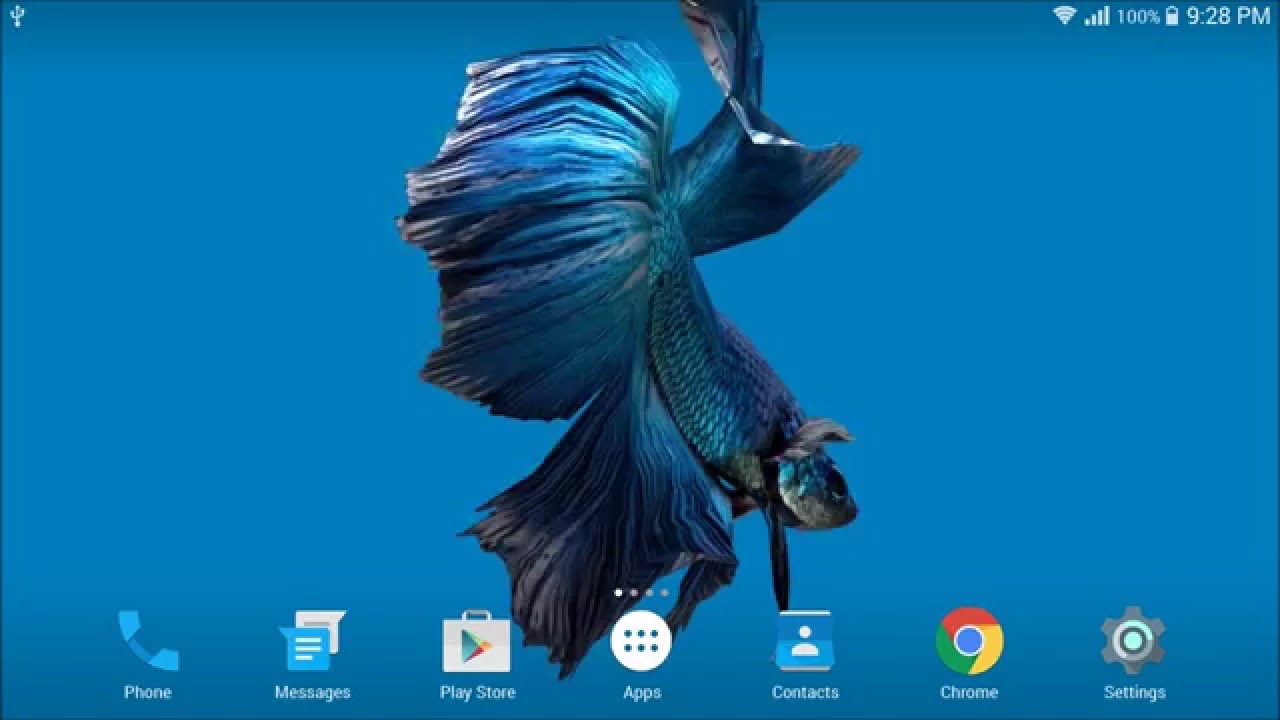 Betta Fish 3D Live Wallpaper