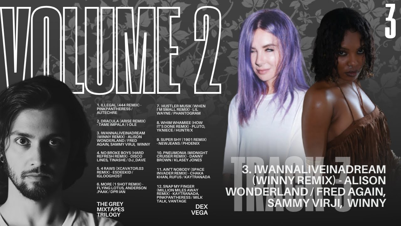 3. iwannaliveinadream (Winny remix) - Alison Wonderland / Fred again.., Sammy Virji | Full Audio