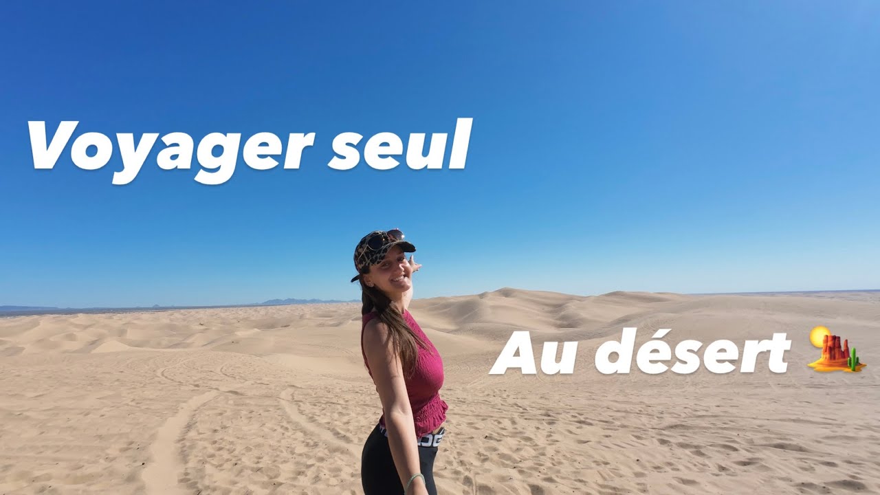 VOYAGER SEUL DANS LE DESERT : &Eacute;couter sa Musique Int&eacute;rieure au c&oelig;ur du D&eacute;sert 🌵✨