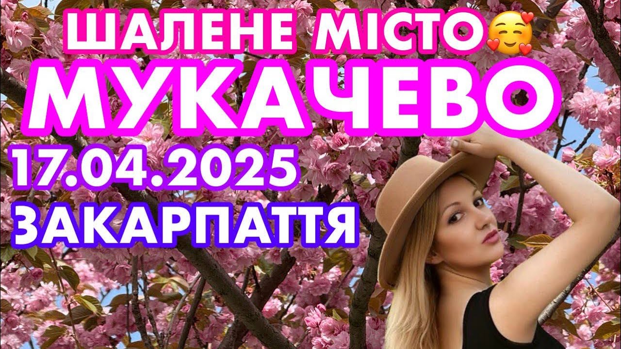 ЗАКАРПАТТЯ🥰ШАЛЕНЕ МІСТО МУКАЧЕВО🌸ЗНАЙШЛИ НЕЙМОВІРНІ ВУЛИЦІ САКУР😍Вул. МАРГІТИЧА✅СПЕКА🔥17.04.2025