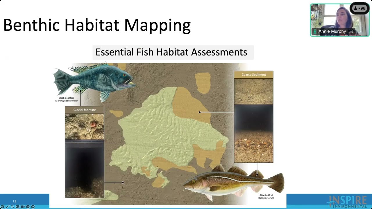 Benthic Habitat Research for Offshore Wind (Learning from the Experts)