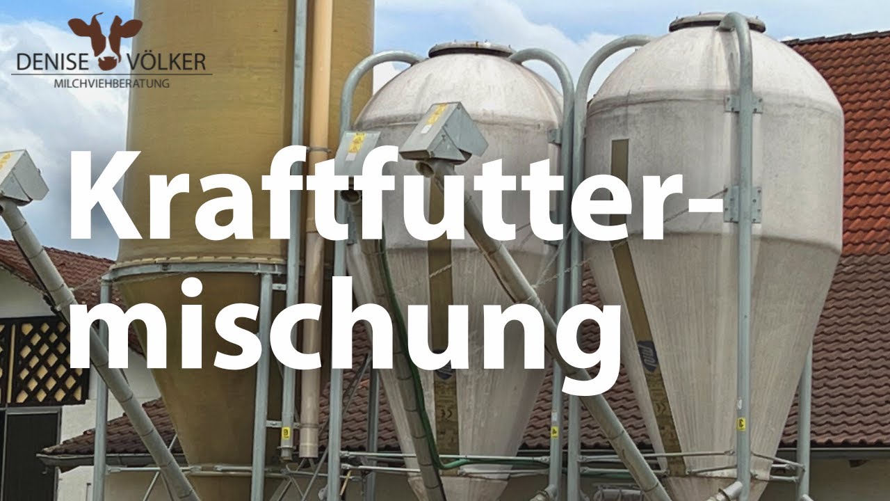 Kraftfuttermischung