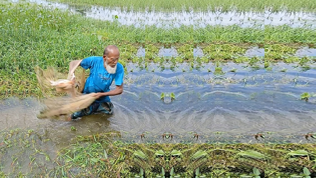 Amazing Net Fishing Video -  Unbelievable Village Fishing Video - Best Cast Fishing Video